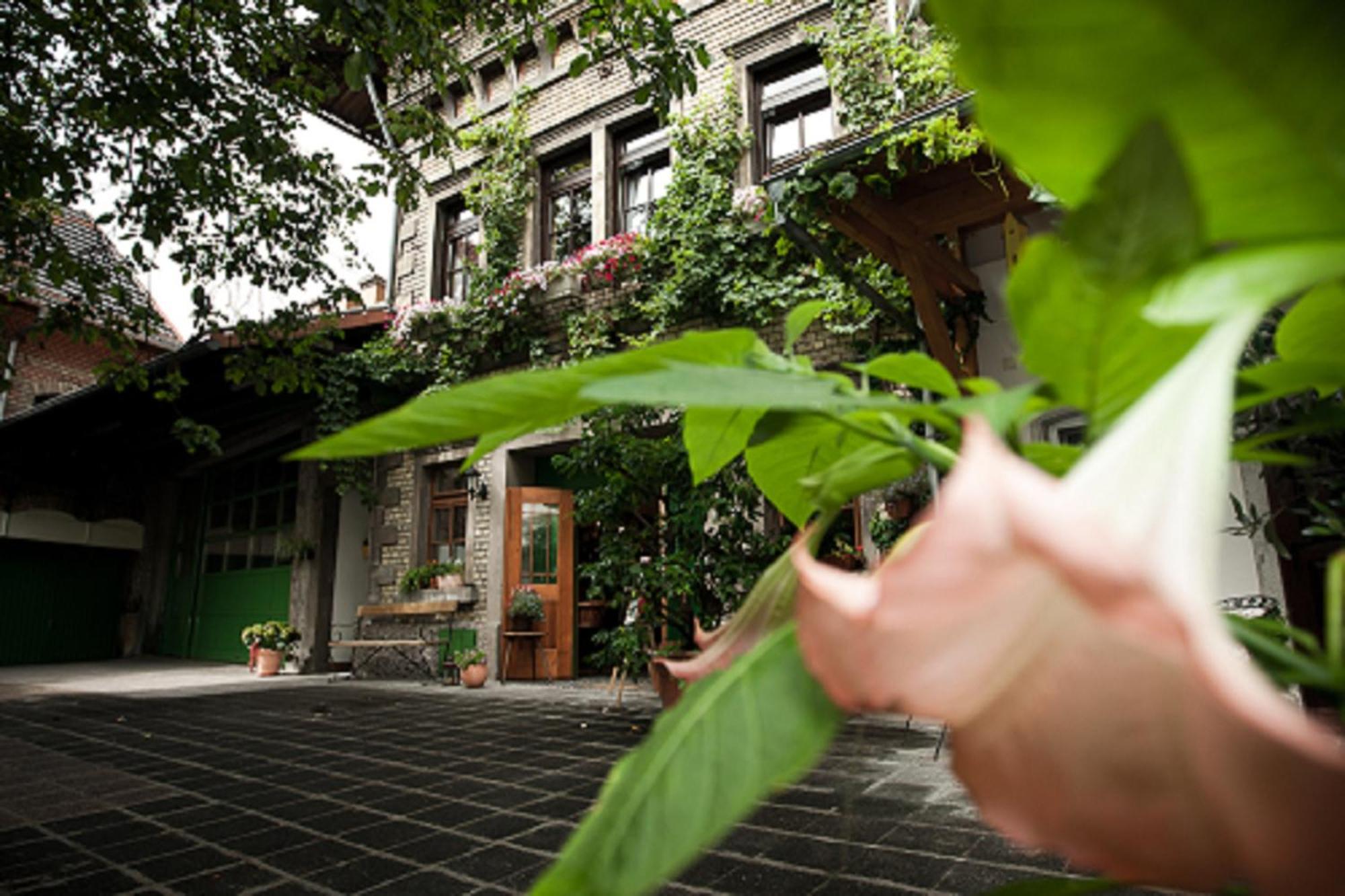 Gaestehaus Guntersblum Exterior photo