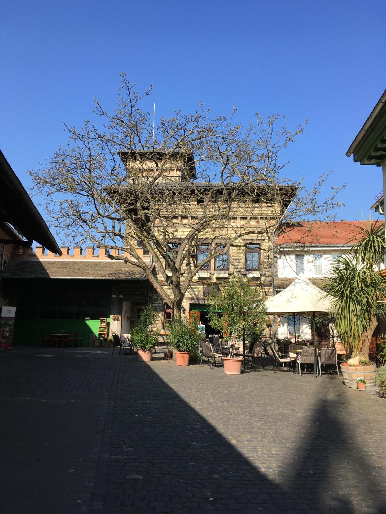 Gaestehaus Guntersblum Exterior photo