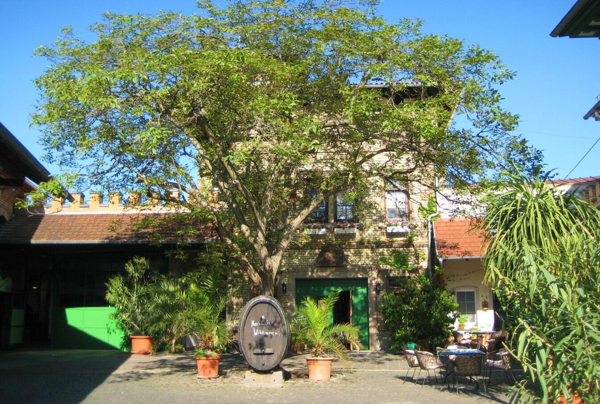 Gaestehaus Guntersblum Exterior photo